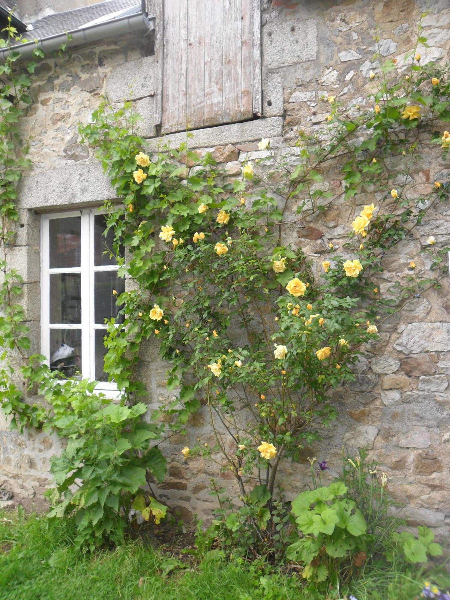 Hotel Les Hautes Loignieres Pre-en-Pail-Saint-Samson Esterno foto